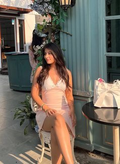 Read more about the article 9999034293